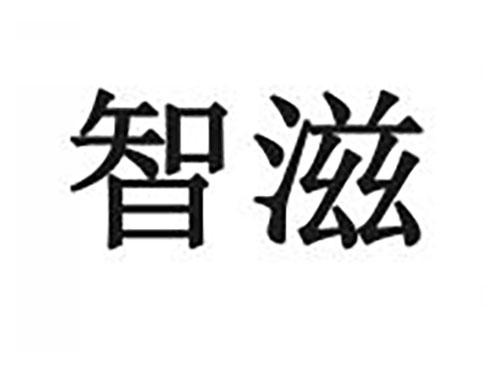 智滋