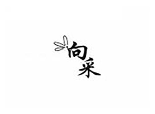 向采