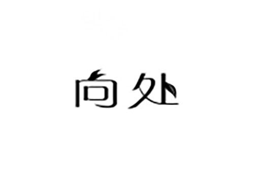 向处