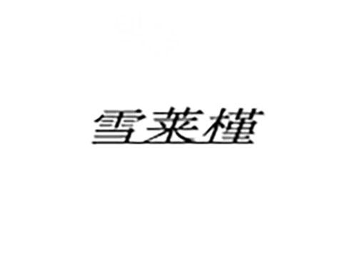 雪莱槿