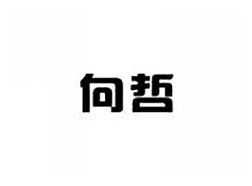 向哲