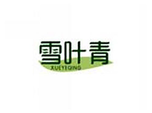 雪叶青xueyeqing