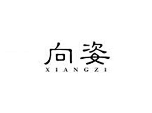 向姿