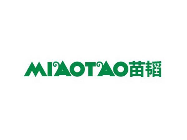 苗韬
