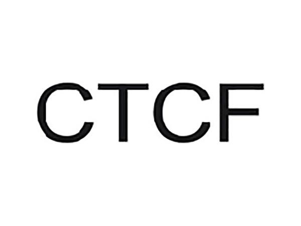 CTCF