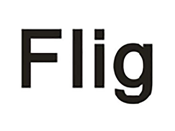 FLIG