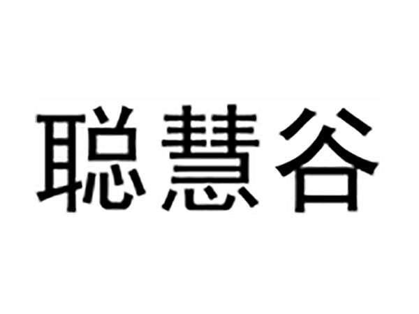 聪慧谷