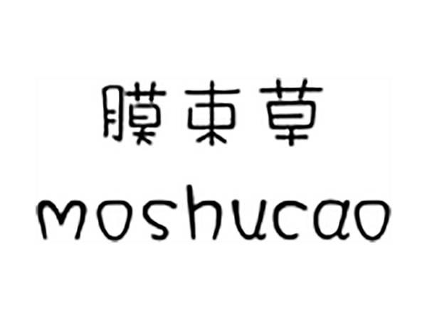 膜束草;MOSHUCAO