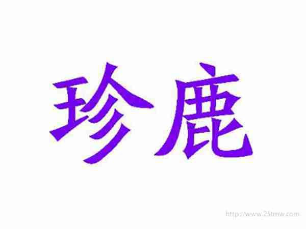 珍鹿