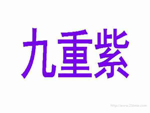 九重紫