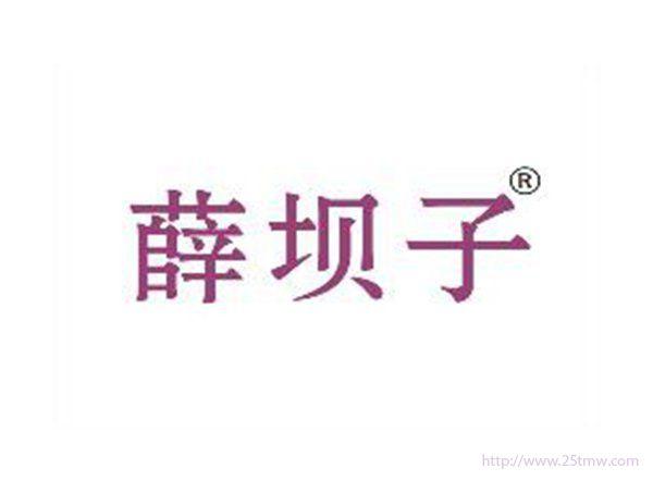 薛坝子