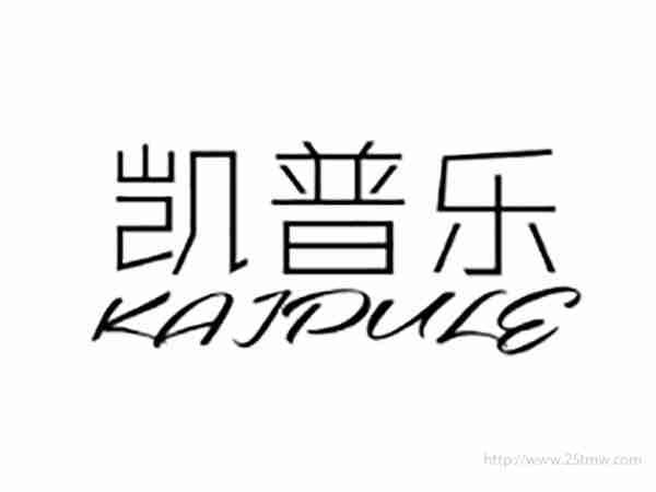 凯普乐KAIPULE