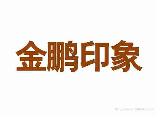 金鹏印象
