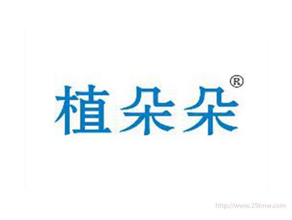 植朵朵