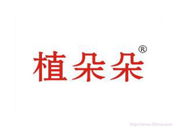 植朵朵
