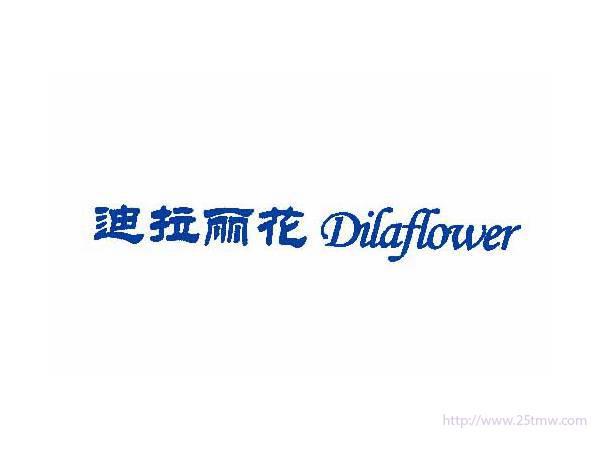 迪拉丽花DILAFLOWER