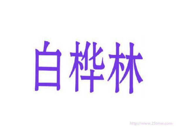白桦林