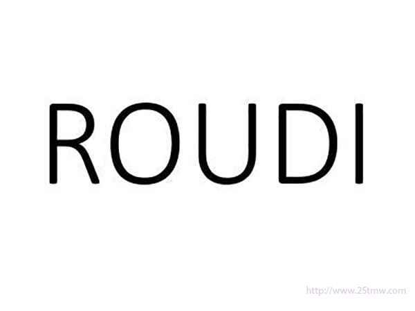 ROUDI