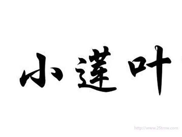 小莲叶