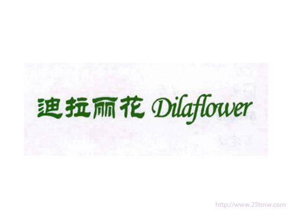 DILAFLOWER迪拉丽花