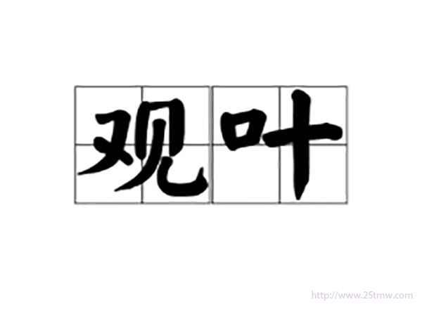 观叶