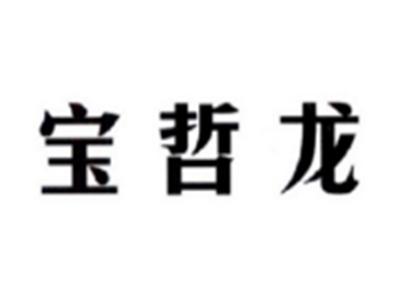 宝哲龙