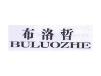 布洛哲