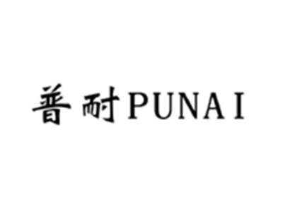 普耐PUNAI