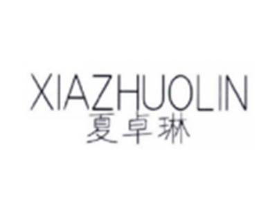 夏卓琳XIAZHUOLIN