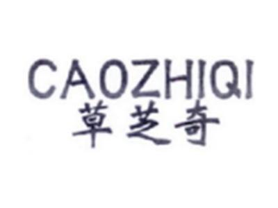 草芝奇CAOZHIQI
