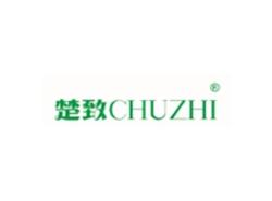 楚致CHUZHI