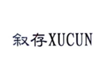 叙存XUCUN