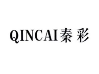 秦彩QINCAI