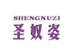 圣奴姿SHENGNUZI