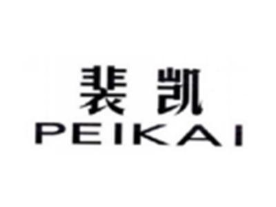 裴凯PEIKAI