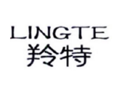羚特LINGTE