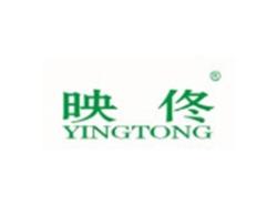 映佟YINGTONG