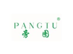 旁图PANGTU