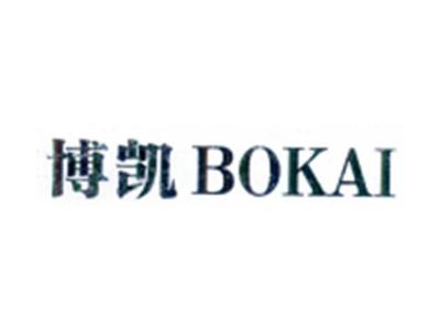 博凯BOKAI