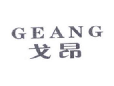 戈昂GEANG