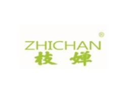 枝婵ZHICHAN