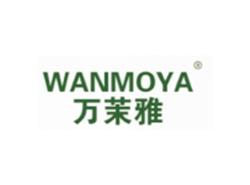 万茉雅WANMOYA