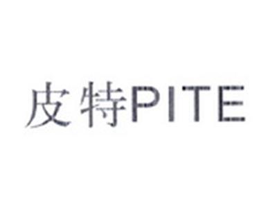 皮特PITE