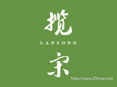 揽宋