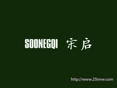 宋启
