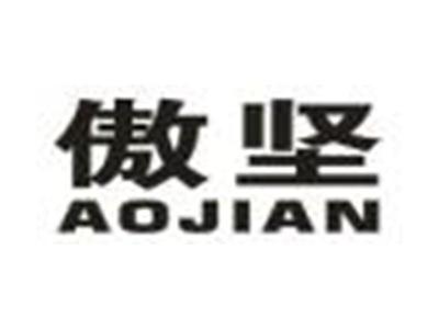 傲坚