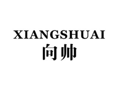 向帅