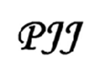 PJJ