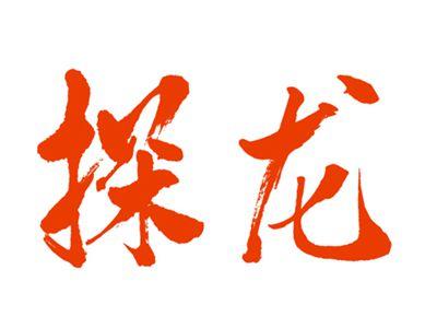 探龙