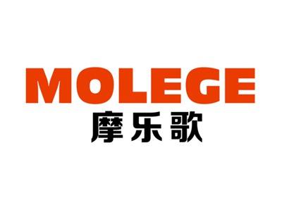 摩乐歌MOLGOR